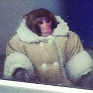 Meet your Posher, Mara